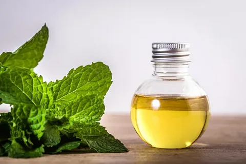 تصویر 1 از خرید عرق نعنا غلیظ + قیمت فروش استثنایی